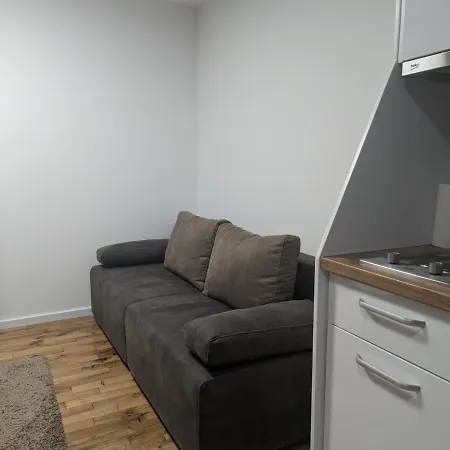 Kod Strica * 科帕奥尼克