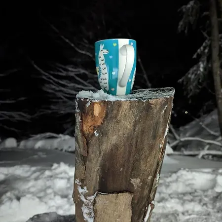 Apartmán Kod Strica