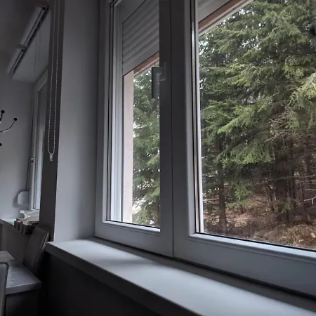 Kod Strica Apartmán Kopaonik