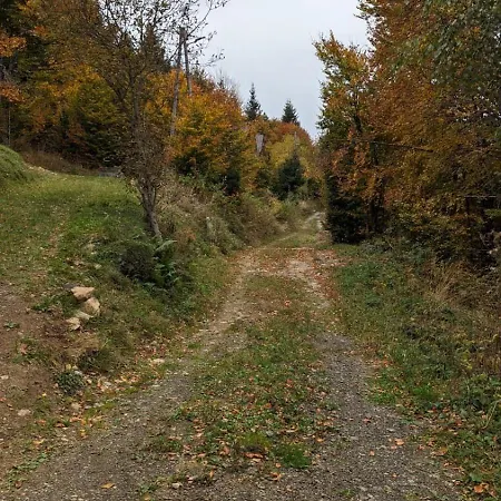 Kod Strica