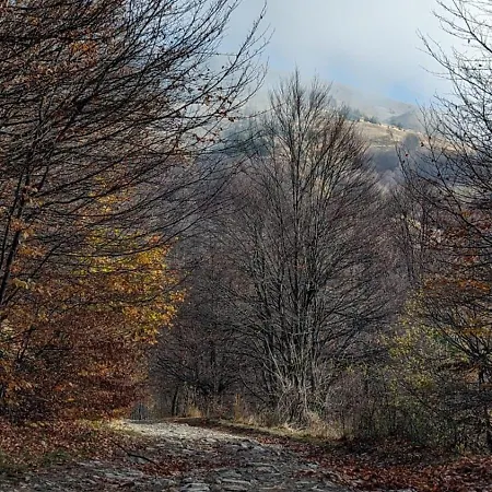 Appartamento Kod Strica