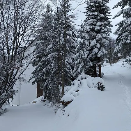 Apartmán Kod Strica *