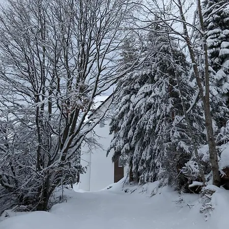 Kod Strica דירה *