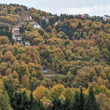 Kod Strica * Kopaonik