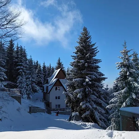 Kod Strica