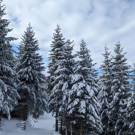 Appartamento Kod Strica Kopaonik