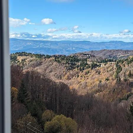 Kod Strica * Kopaonik