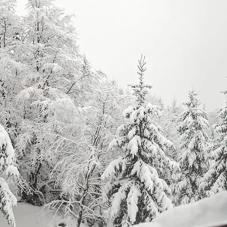 Appartamento Kod Strica