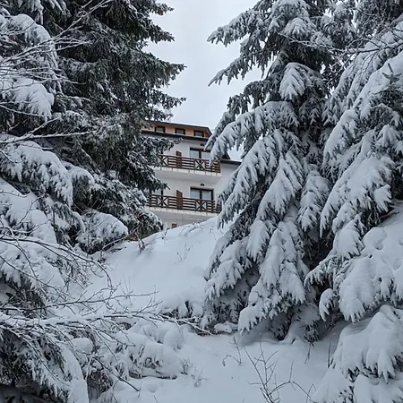 Kod Strica * Kopaonik