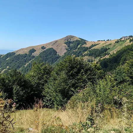 Kod Strica * Kopaonik