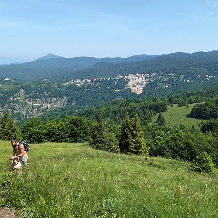 Kod Strica * קופאוניק