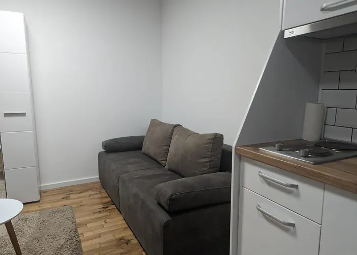 Kod Strica * Kopaonik