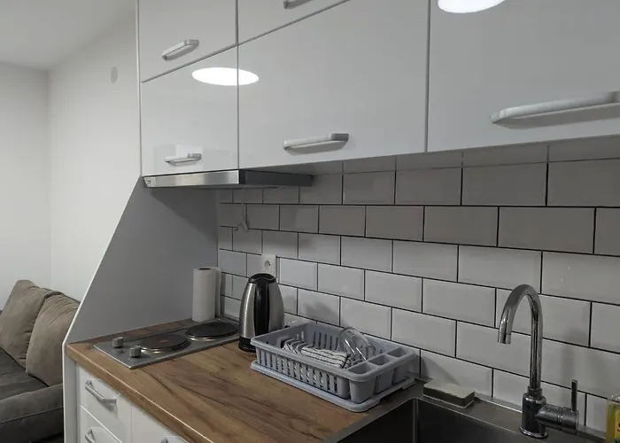 Kod Strica Διαμέρισμα Κοπαόνικ