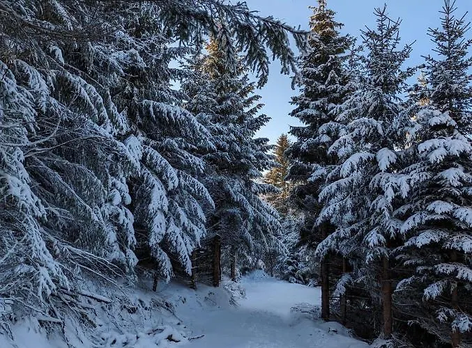 Kod Strica Διαμέρισμα