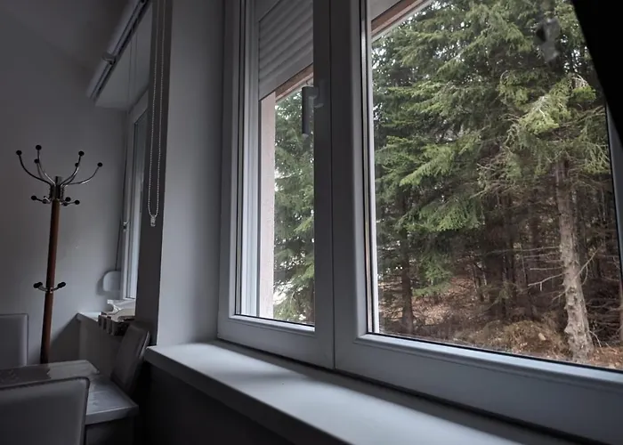 Kod Strica Διαμέρισμα Κοπαόνικ