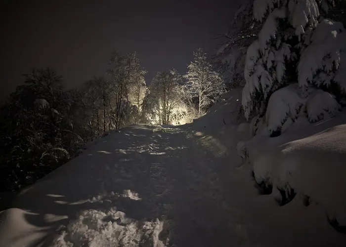 Διαμέρισμα Kod Strica