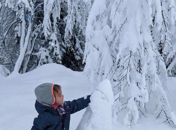 Kod Strica Διαμέρισμα