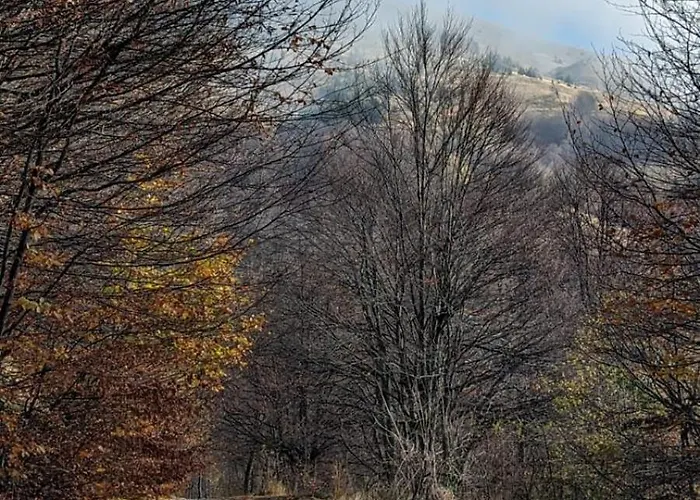 Διαμέρισμα Kod Strica