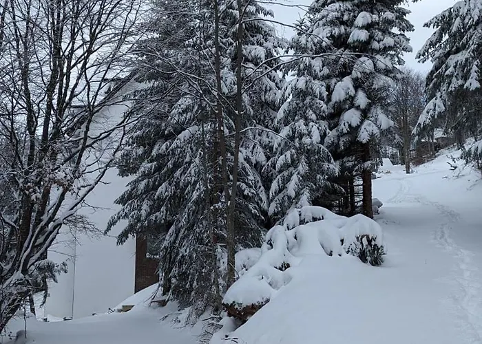 Διαμέρισμα Kod Strica *