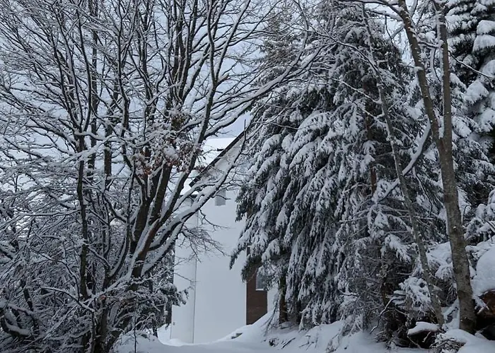 Kod Strica Διαμέρισμα *