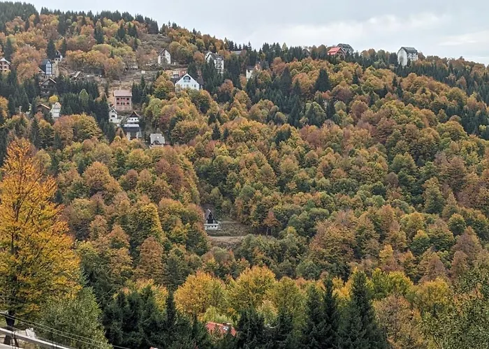 Kod Strica * Κοπαόνικ