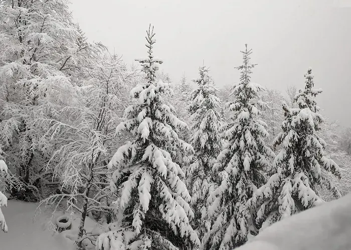 Διαμέρισμα Kod Strica