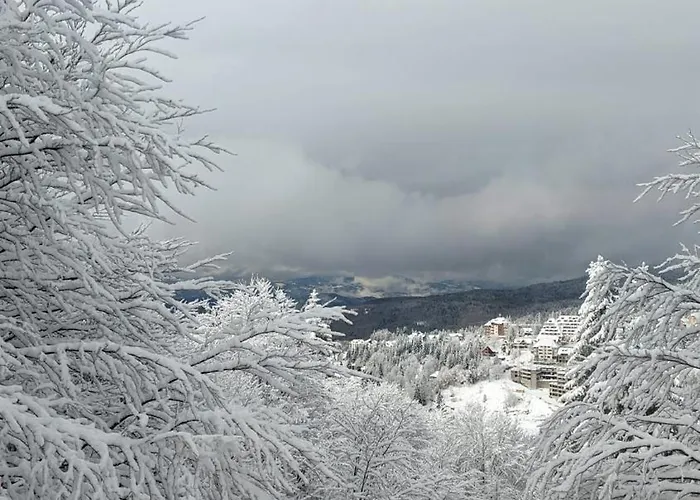 Kod Strica Διαμέρισμα Κοπαόνικ