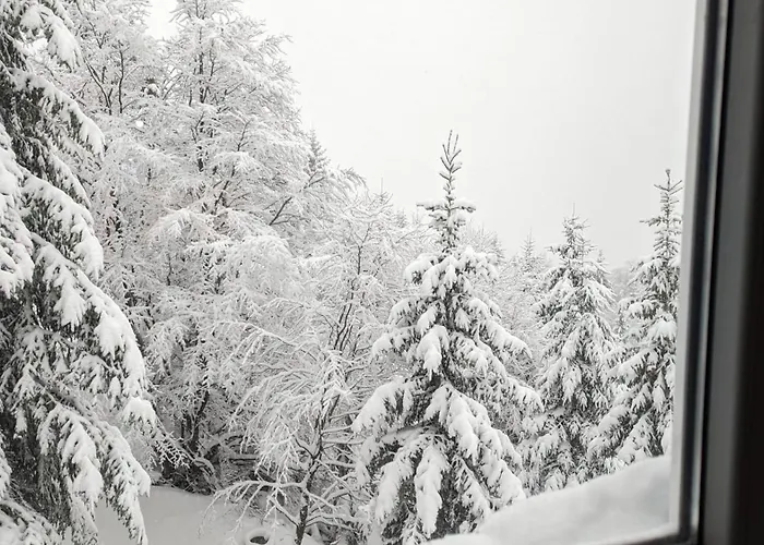 Διαμέρισμα Kod Strica