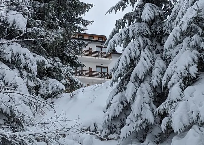 Kod Strica * Κοπαόνικ