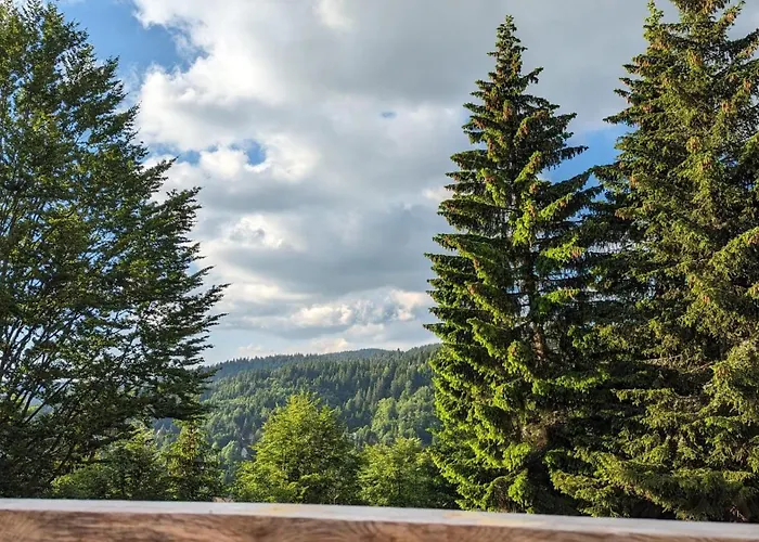 Διαμέρισμα Kod Strica *