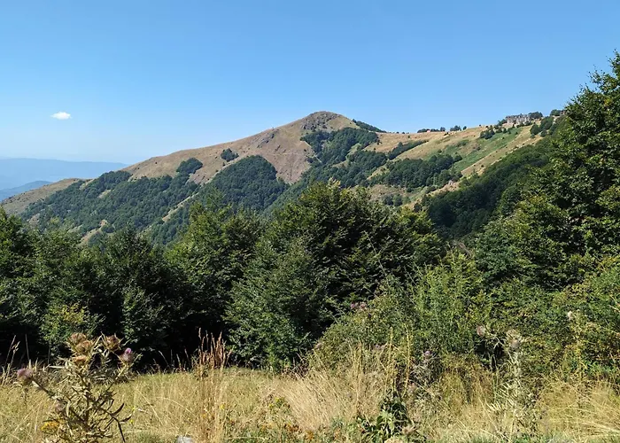 Kod Strica * Κοπαόνικ