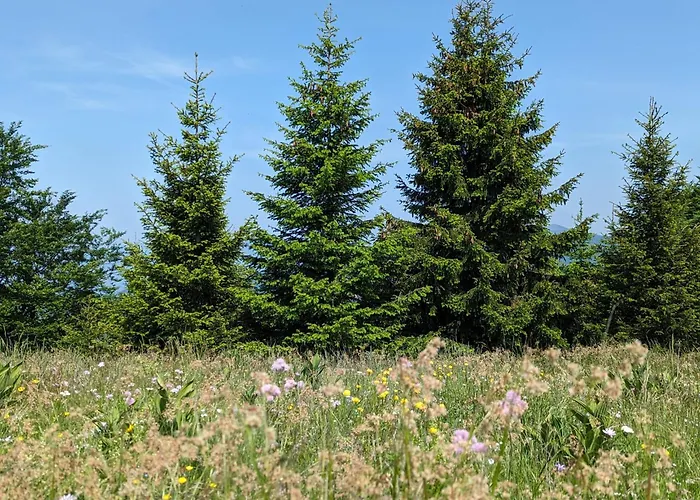 Διαμέρισμα Kod Strica Κοπαόνικ